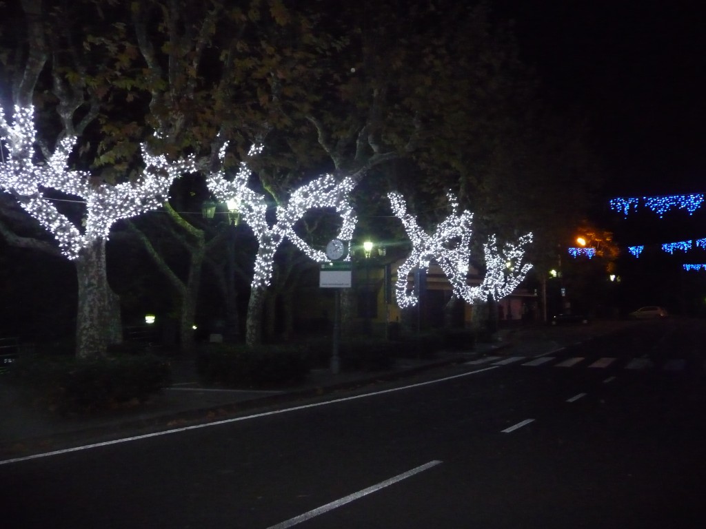 Alberature illuminate in strada