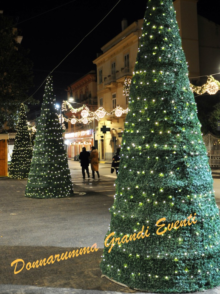 Alberi conici illuminati in centro