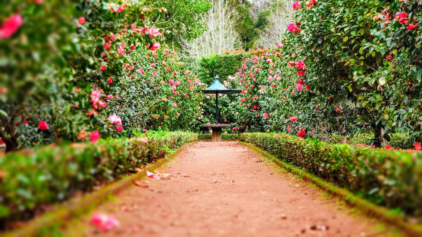 Giardino curato con aiuole e percorsi