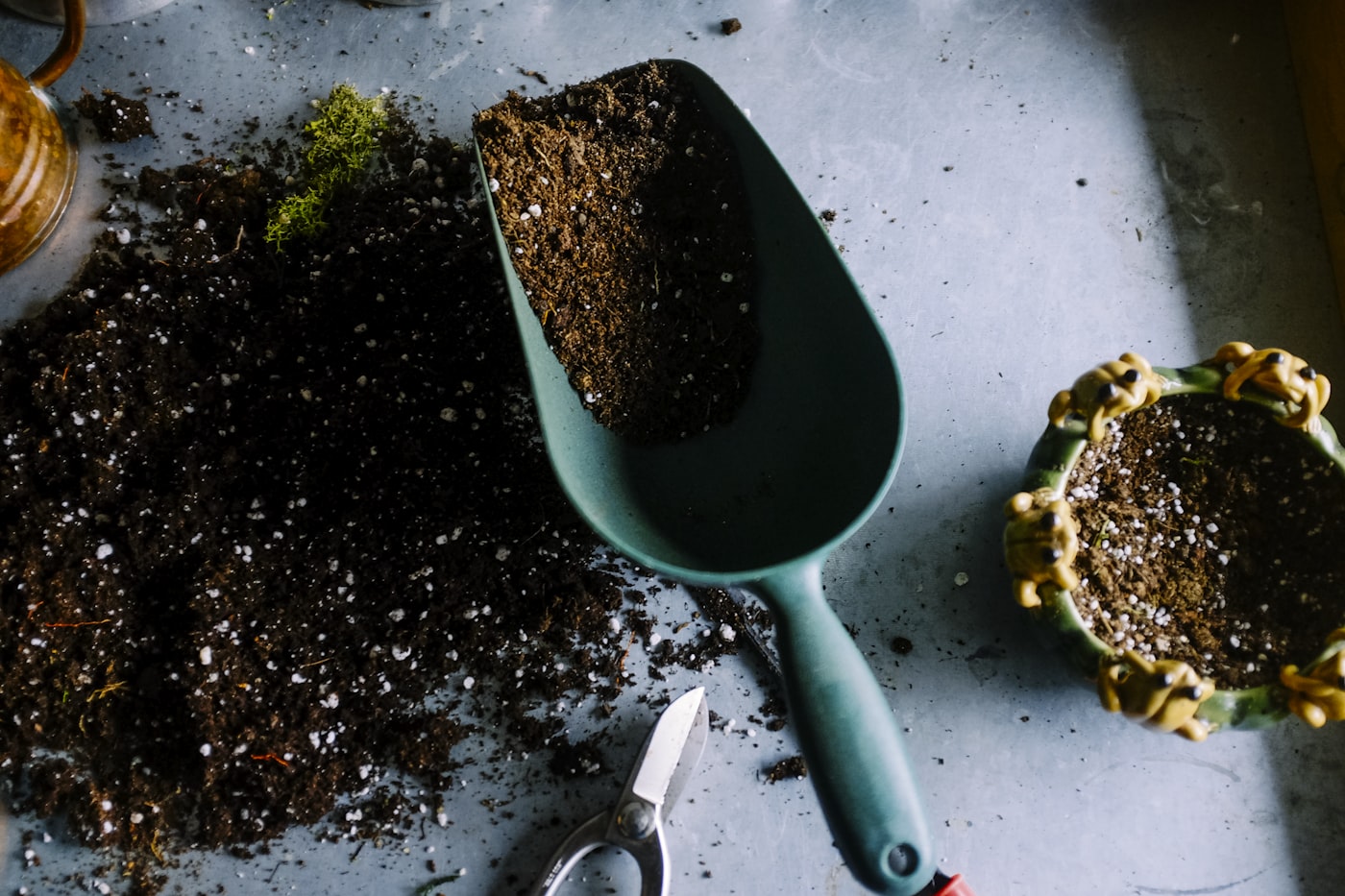 Lavori di giardinaggio e cura del verde